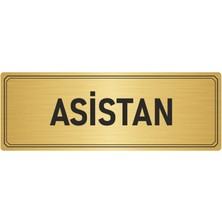 Özarslan Dizayn Metal Yönlendirme Levhası Departman Kapı Isimliği Asistan 10x20 cm Altın Renk