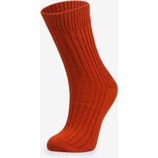 Bolero Kışlık 2 Çift Bir Arada %40 Merino Yün Yumuşak Dokulu Kadın Çorabı