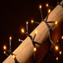 Kuzey Noel Ağacı Işığı 100 LED 4 Metre Pirinç LED Işık Gerçek Gün Işığı LED Işık Pirinç Gün Işığı LED Işık