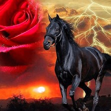 Hobi Tedarik Kırmızı Gül ve Siyah At Çerçeveli 90X110 Sayılarla Boyama Hobi Seti