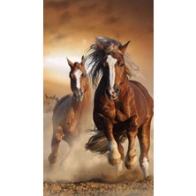 Hobi Tedarik Koşuşan Atlar Çerçeveli 50X65 Sayılarla Boyama Hobi Seti