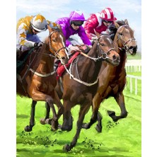 Hobi Tedarik At Yarışları Çerçeveli 60X75 Sayılarla Boyama Hobi Seti