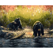 Hobi Tedarik Karaca Ayılar Çerçeveli 60X75 Sayılarla Boyama Hobi Seti