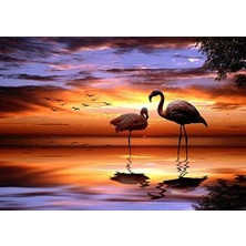 Hobi Tedarik Balık Avcıları Çerçeveli 60X75 Sayılarla Boyama Hobi Seti