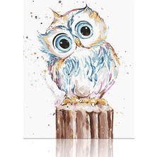 Hobi Tedarik Gamlı Baykuş Çerçeveli 90X110 Sayılarla Boyama Hobi Seti