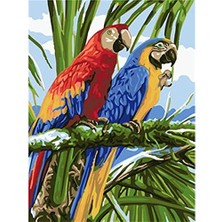 Hobi Tedarik Papağanların Dostluğu Çerçeveli 70X90 Sayılarla Boyama Hobi Seti