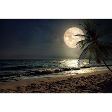 Hobi Tedarik Dolunay Enerjisi Çerçeveli 70X90 Sayılarla Boyama Hobi Seti