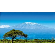 Hobi Tedarik Bahar ve Kış Çerçeveli 70X90 Sayılarla Boyama Hobi Seti