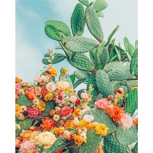 Hobi Tedarik Kaktüsler ve Güller Çerçeveli 40X50 Sayılarla Boyama Hobi Seti