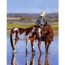 Hobi Tedarik Hediye Çerçeveli 50X65 Sayılarla Boyama Hobi Seti