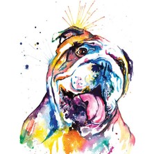 Hobi Tedarik Renkli Buldog Çerçeveli 50X65 Sayılarla Boyama Hobi Seti