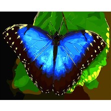Hobi Tedarik Doğada Mavi Kelebek Çerçeveli 50X65 Sayılarla Boyama Hobi Seti