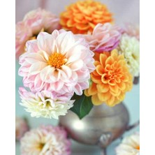 Hobi Tedarik Yakın Gül Çerçeveli 40X50 Sayılarla Boyama Hobi Seti