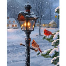 Hobi Tedarik Kış Kuşları Çerçeveli 60X75 Sayılarla Boyama Hobi Seti