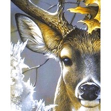 Hobi Tedarik Sevimli Geyik Çerçeveli 60X75 Sayılarla Boyama Hobi Seti