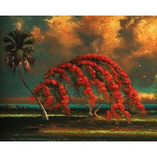 Hobi Tedarik Huzur Adası Çerçeveli 70X90 Sayılarla Boyama Hobi Seti