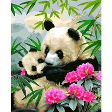 Hobi Tedarik Yavru Panda ve Annesi Çerçeveli 70X90 Sayılarla Boyama Hobi Seti