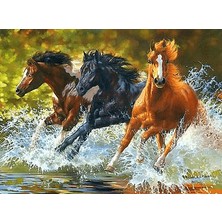 Hobi Tedarik Koşan Atlar Çerçeveli 70X90 Sayılarla Boyama Hobi Seti