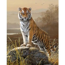 Hobi Tedarik Majestik Kaplan Çerçeveli 90X110 Sayılarla Boyama Hobi Seti