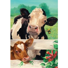 Hobi Tedarik Mö Çerçeveli 70X90 Sayılarla Boyama Hobi Seti