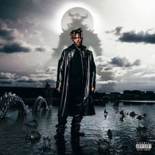 Interscope Records Juice Wrld Fighting Demons (2LP) (Plak)