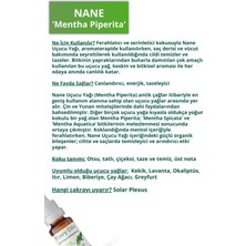 Flowy Oils Nane Yağı %100 Doğal Bitkisel Uçucu Yağ Peppermint Oil 10 ml