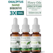 Flowy Oils Okaliptüs Yağı, Nane Yağı, Biberiye Yağı 3'lü  Set %100 Doğal Bitkisel Uçucu Yağ 10 ml