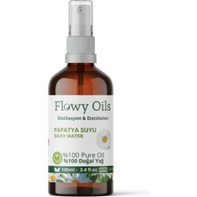 Flowy Oils Papatya Suyu Cam Şişe %100 Tam Saf Doğal Yağlı Distilasyon Hidrosöl Suyu Chamomille Hydrosol 100ML