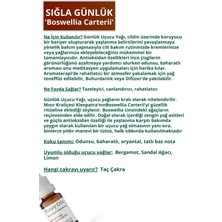 Flowy Oils Lavanta Yağı, Akgünlük Yağı, Paçuli Yağı 3'lü Rahatlama Set %100 Doğal Bitkisel Uçucu Yağ 10 ml