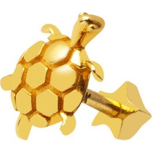 Bilezikci 14 Ayar Altın Kaplumbağa Tragus Küpe