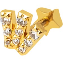 Bilezikci 14 Ayar Altın Tragus Piercing Küpe