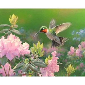 Hobi Tedarik Çiçekkakan Çerçeveli 40X50 Sayılarla Boyama Hobi Seti