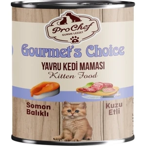 20 Adet Gourmet's Choice Yavru Kedi Maması | 415 gr Somon Balıklı & Kuzu Etli Konserve Yaş Mama