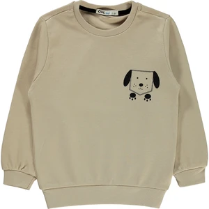 Civil Boys Erkek Çocuk Bej Sweatshirt 2-5 Yaş Bisiklet Yaka Düz Renk Truvakar Kol