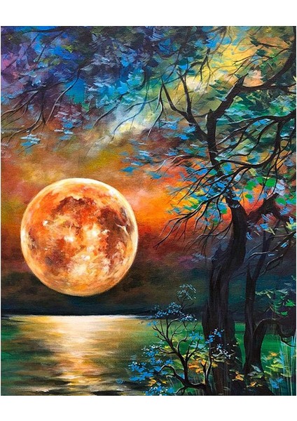 Yakamoz ve Ağaç Çerçeveli 90X110 Sayılarla Boyama Hobi Seti