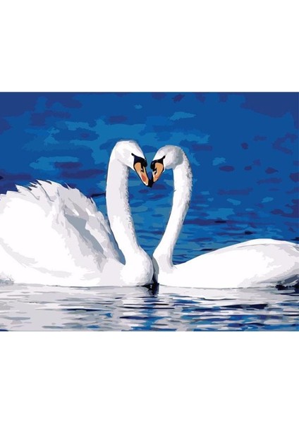 Kuğu Aşkına Çerçeveli 50X65 Sayılarla Boyama Hobi Seti