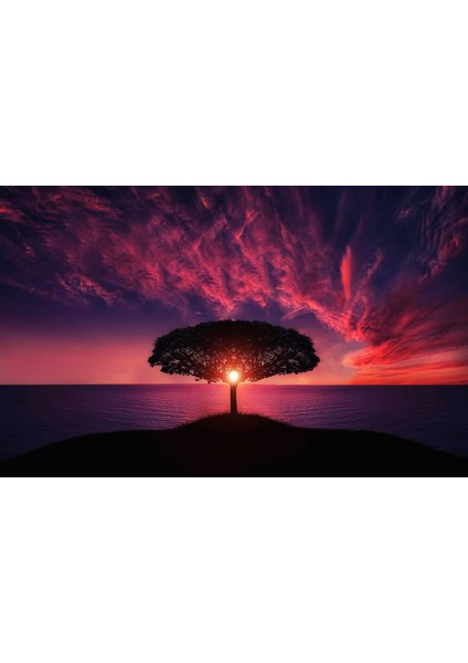 Yalnız Ağaç ve Bulutlar Çerçeveli 50X65 Sayılarla Boyama Hobi Seti