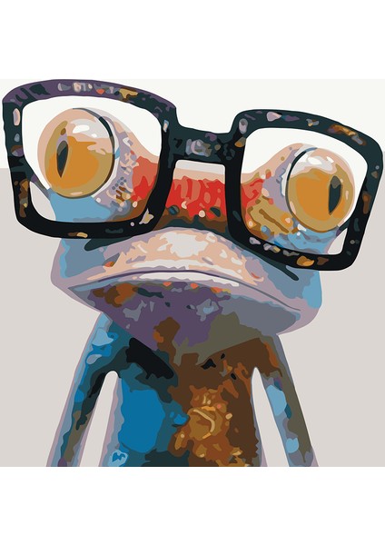 Gözlüklü Kurbağa Çerçeveli 50X65 Sayılarla Boyama Hobi Seti