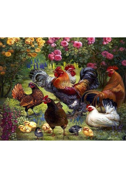Bahçedeki Kümes Çerçeveli 50X65 Sayılarla Boyama Hobi Seti