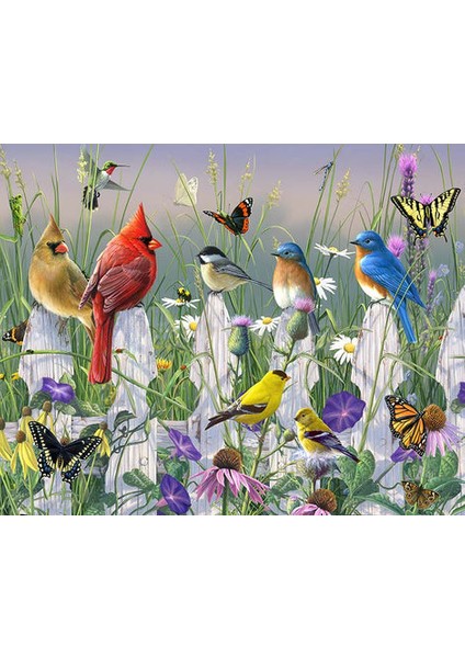 Kuş Cenneti Çerçeveli 40X50 Sayılarla Boyama Hobi Seti