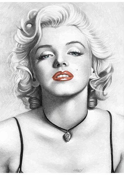 Monreo Çerçeveli 40X50 Sayılarla Boyama Hobi Seti