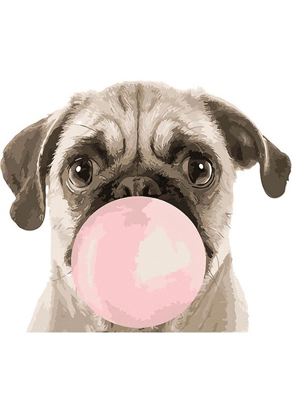Pug Köpek Yavrusu Çerçeveli 40X50 Sayılarla Boyama Hobi Seti