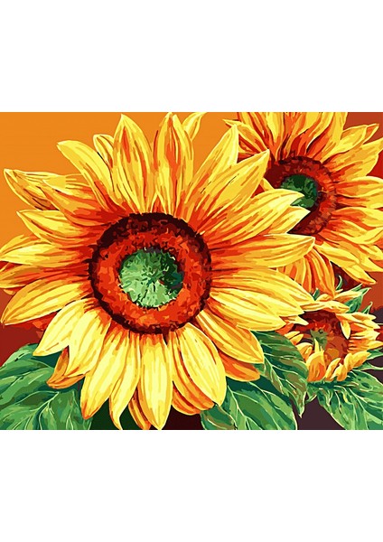 Ayçiçeği Masalı 1 Çerçeveli 40X50 Sayılarla Boyama Hobi Seti
