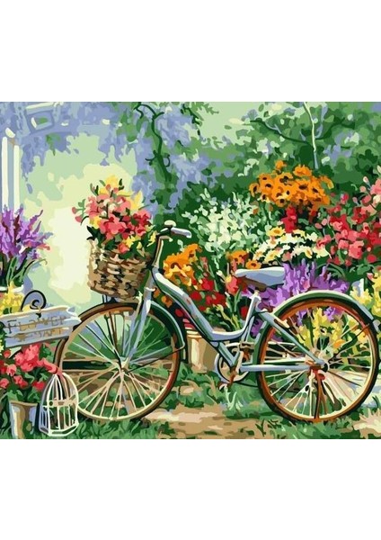 Renkli Çiçekler ve Bisiklet Çerçeveli 40X50 Sayılarla Boyama Hobi Seti