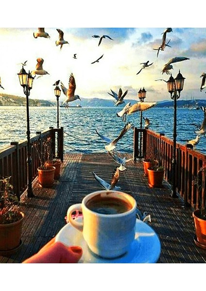 Kahve ve Deniz Manzarası Çerçeveli 40X50 Sayılarla Boyama Hobi Seti