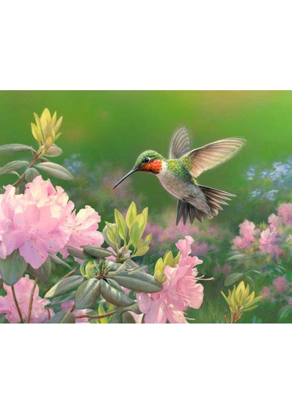 Çiçekkakan Çerçeveli 40X50 Sayılarla Boyama Hobi Seti