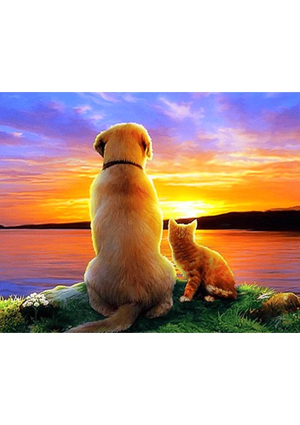 Gün Batımı ve Iki Dost Çerçeveli 40X50 Sayılarla Boyama Hobi Seti