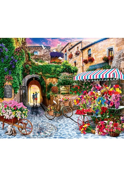 Renkli Çiçekler ve Taş Evler Çerçeveli 40X50 Sayılarla Boyama Hobi Seti