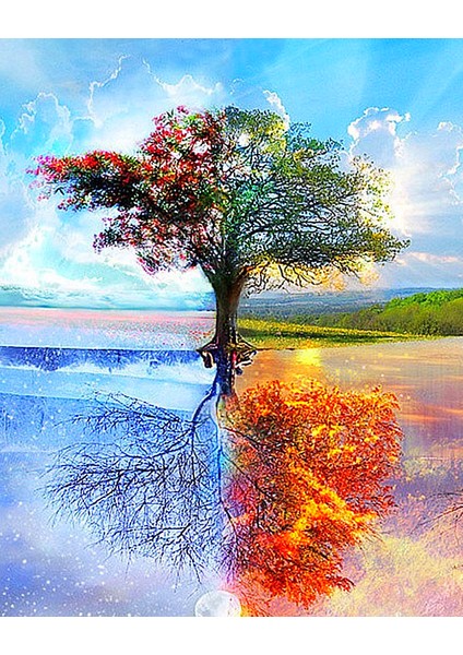 Mevsimler ve Ağaç Çerçeveli 40X50 Sayılarla Boyama Hobi Seti