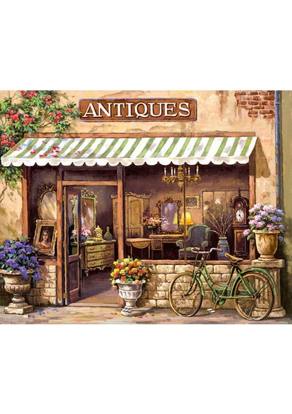 Aylak Antikacı Çerçeveli 50X65 Sayılarla Boyama Hobi Seti